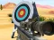 Gra Hit Targets Shooting w Internecie