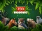 Gra ZOO Trivia w Internecie