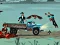 Gra Zombie Truck w Internecie