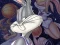 Gra Space Jam w Internecie