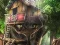 Gra Hidden Treehouse w Internecie