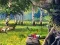Gra Scout Camp w Internecie