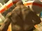 Gra Monster Simulator w Internecie