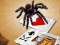 Gra Jumping Spider w Internecie