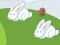 Gra Crazy Eggs w Internecie