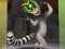 Gra King Julien: Trommel-Tanz w Internecie