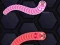 Gra Angry Worms w Internecie