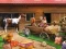 Gra Horse Ranch w Internecie