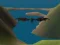 Gra Sky of Dragons Rule the sky w Internecie
