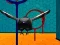 Gra Birdgame.io w Internecie
