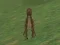 Gra Dino Hunt w Internecie