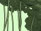 Gra Abandoned the Forest w Internecie