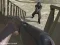 Gra Western:Invasion w Internecie