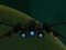 Gra Spaceship Arena w Internecie
