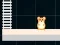 Gra Hamster Grid Even Odd w Internecie