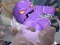 Gra Break The Rock w Internecie