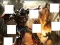 Gra Transformers 3 image puzzles w Internecie