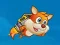 Gra Super Squirrel w Internecie
