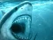Gra Hungry Shark w Internecie