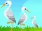 Gra Little Garden Escape w Internecie
