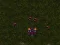 Gra Starcraft 3 w Internecie
