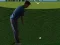 Gra Flash Golf 3D w Internecie