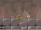 Gra Roly-Poly Eliminator 2 w Internecie