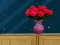 Gra Space House Escape w Internecie