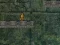 Gra Bunny Adventure w Internecie