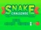 Gra Snake Challenge w Internecie