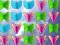 Gra Butterfly Collector w Internecie