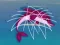 Gra Dolphin Rescue w Internecie
