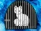 Gra Snow Fox Escape w Internecie