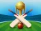 Gra Cricket Champions Cup w Internecie