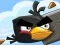 Gra Crazy Birds w Internecie