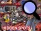 Gra Hidden Spots In The Room w Internecie