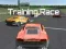 Gra Training Race w Internecie