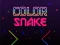 Gra Color Snake w Internecie