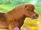 Gra My Dear Pony w Internecie