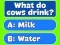 Gra Trivia Best Family Quiz w Internecie