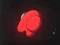 Gra Second Blink: You Can (Not) Get w Internecie
