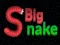 Gra Big Snake.io w Internecie