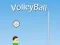 Gra VolleyBall w Internecie