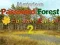 Gra Mysterious Password Forest Autumn Edition 2 w Internecie