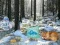 Gra Winter Wonderland Forest Adventure w Internecie