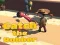 Gra Catsh the robber w Internecie