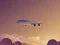 Gra Vacation Airplanes Jigsaw w Internecie