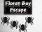 Gra Floret Boy Escape w Internecie