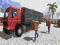 Gra Asian offroad cargo truck driver w Internecie