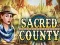 Gra Sacred county w Internecie